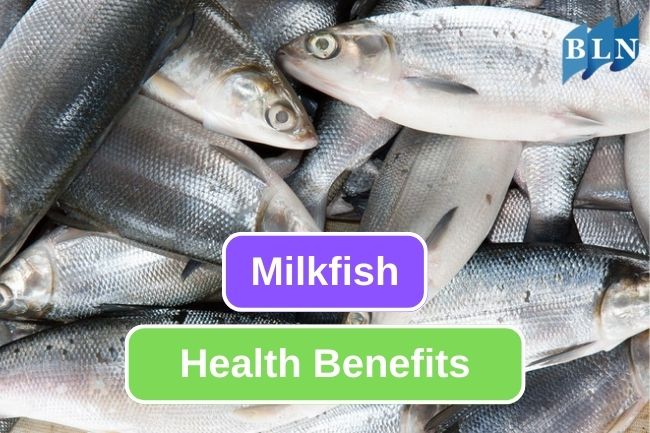 The 4 Best Benefits Of Consuming Milkfish